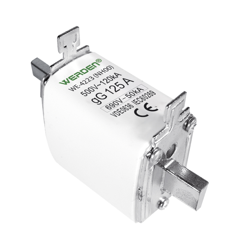 FUSIBLE INDUSTRIAL NH-00 125 A 