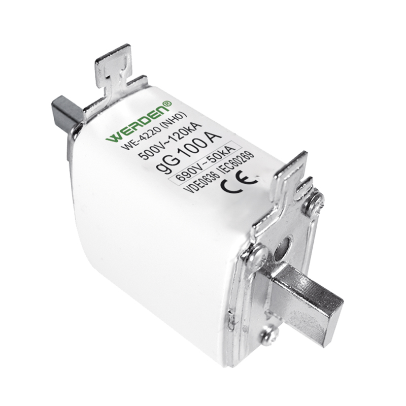 FUSIBLE INDUSTRIAL NH-00 100 A 