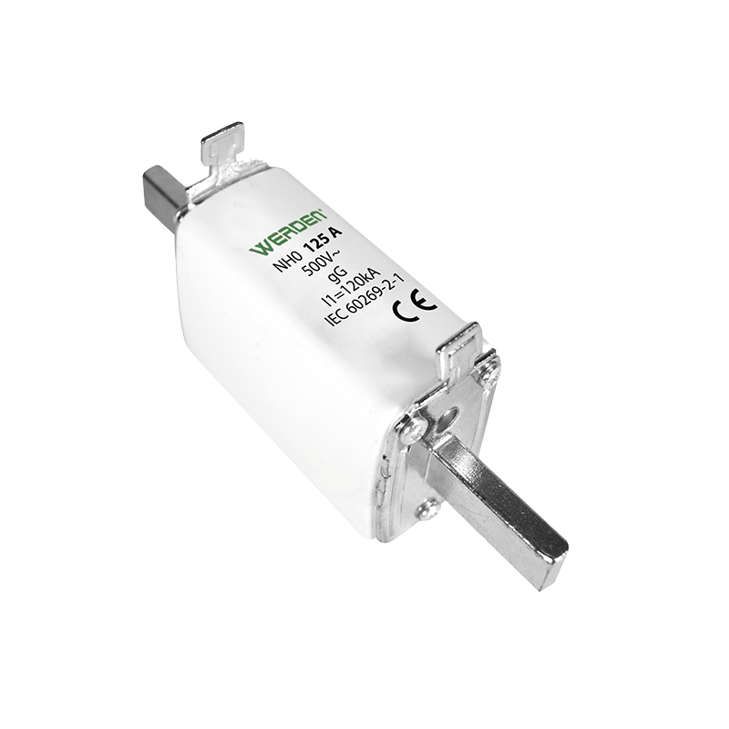 FUSIBLE INDUSTRIAL NH-0 125 A 