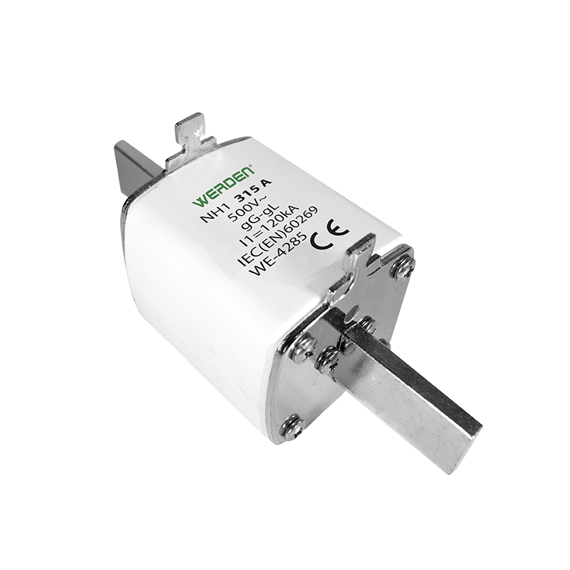 FUSIBLE INDUSTRIAL NH-2 315 A 